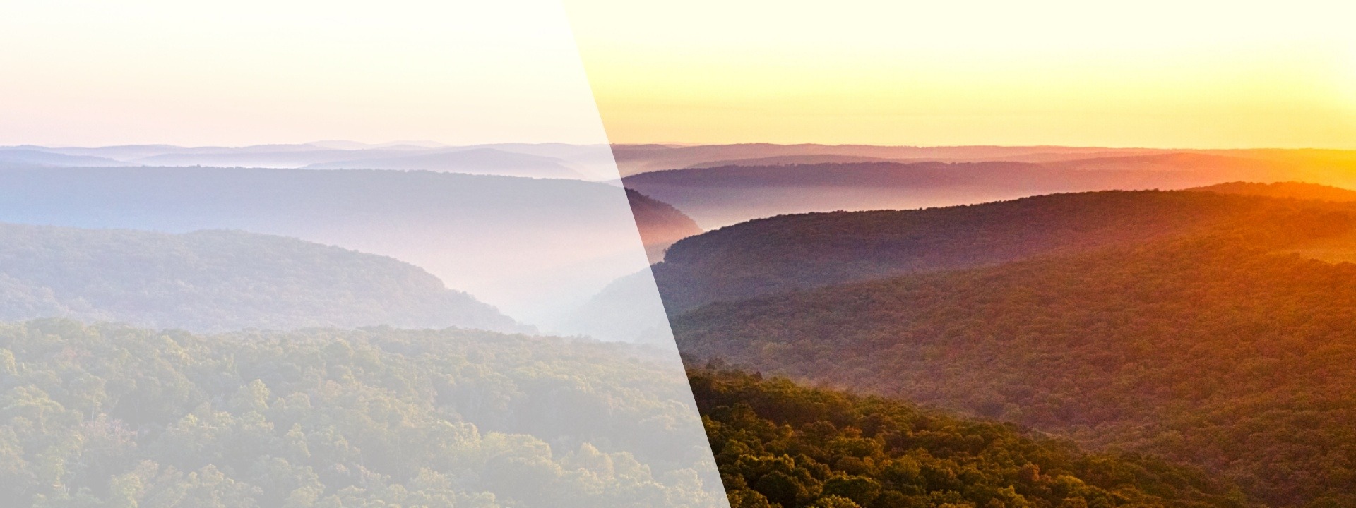 Hospice & Palliative Care Association of Arkansas