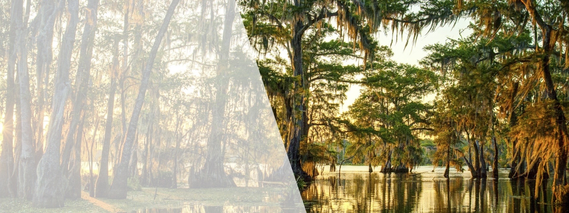 Louisiana-Mississippi Hospice & Palliative Care Organization
