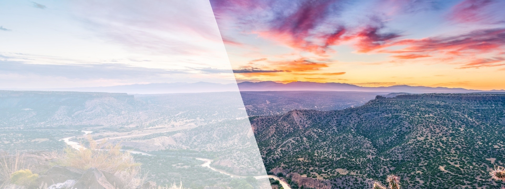 New Mexico Association for Home & Hospice Care
