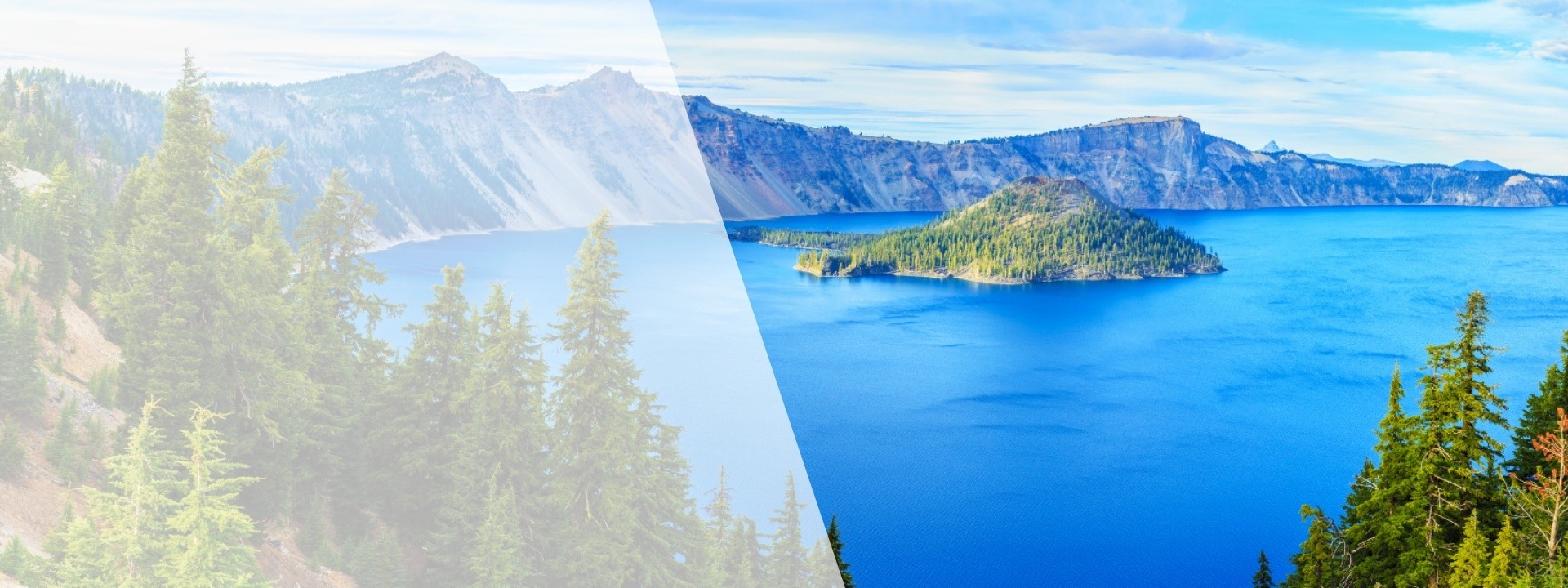 Oregon Hospice & Palliative Care Association