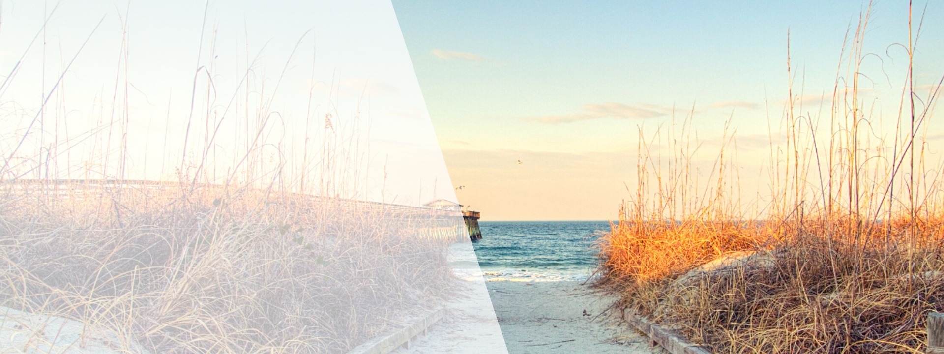South Carolina Home Care & Hospice Association