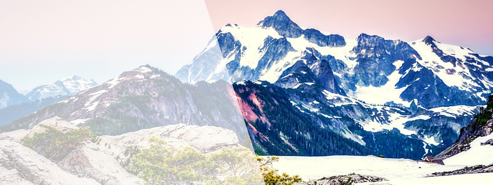 Washington State Hospice & Palliative Care Organization