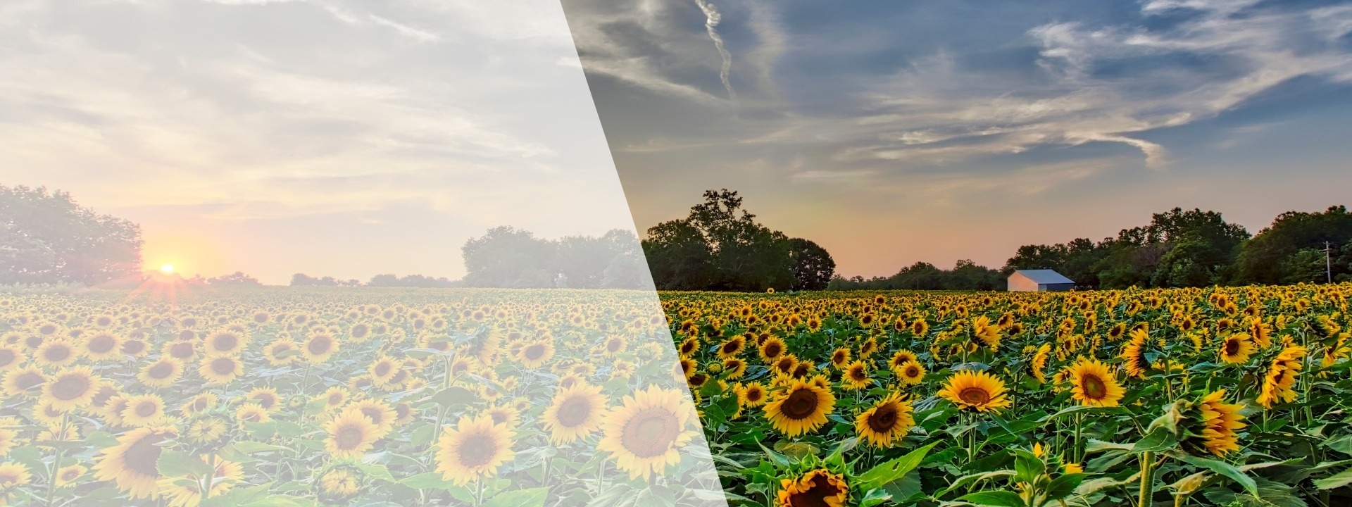 Kansas Home Care & Hospice Association