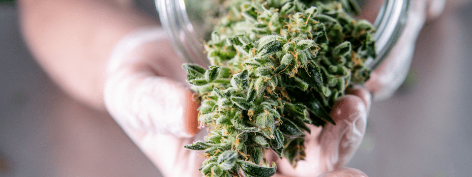 Handling Employee Medical & Recreational Marijuana Use – At Work & Home