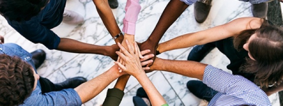 Communicating Your Commitment to Diversity & Inclusion: Creating Effective Policies & Procedures