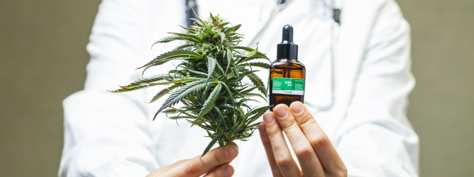 The Use of Medical Marijuana in Hospice Care