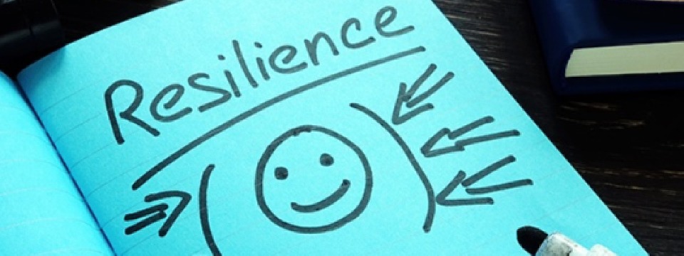 Resilience & Emotional Intelligence to Thrive During Challenging Times