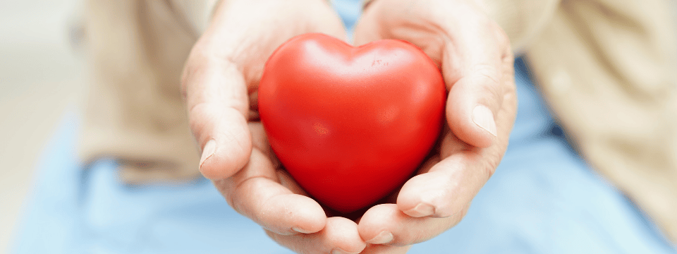 Volunteer Manager Series: Utilizing Professional Licensed Volunteers