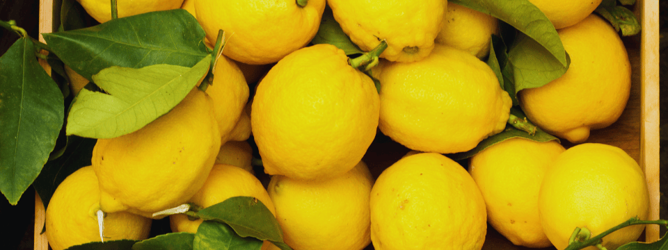 Lemons to Lemonade: Maintaining a Positive Attitude in Tough Situations