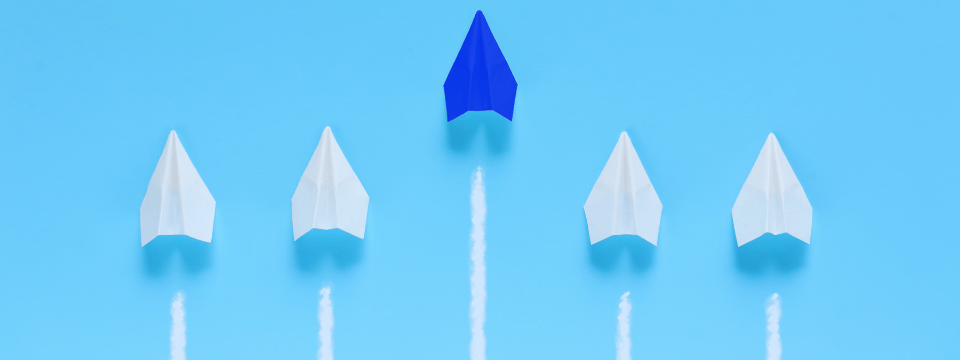 Volunteer Leaders: Guiding Volunteers Toward Leadership Roles