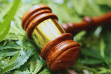 Historic Marijuana Reclassification: Changes & Implications
