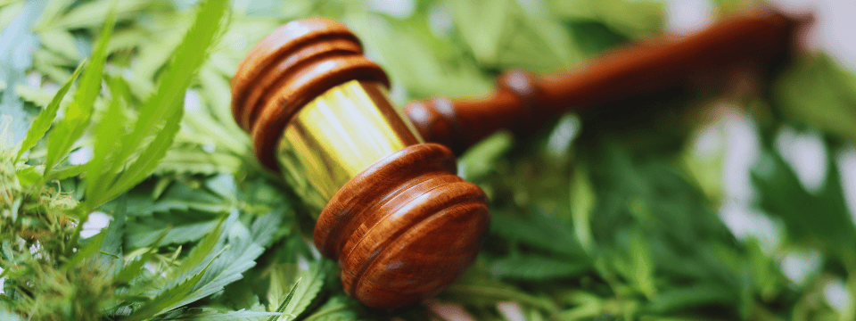 Historic Marijuana Reclassification: Changes & Implications